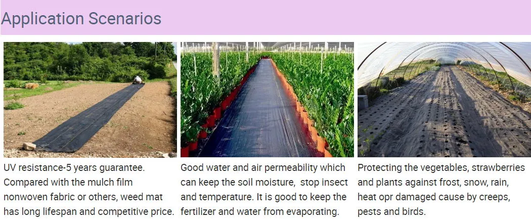 80g/90g/100g Polypropylene Woven PP Ground Cover Geotextile