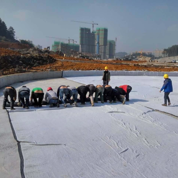 Geotextile Fabric Filament Polyester Geotextile Cost Per Square Foot for Construction in Chile