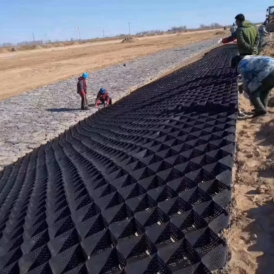Высококачественная пластиковая георешетка HDPE
