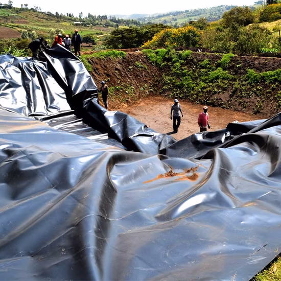 HDPE LDPE LLDPE ПВХ пластиковая полиэтиленовая геомембрана непроницаемая подкладочная пленка для прудов для разведения рыбы