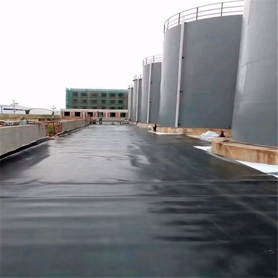 Fatory Цена Пластиковый лист 0,5 мм 1 мм 2 мм HDPE LDPE LLDPE Аквакультура Сельское хозяйство Дамба Свалка Рыбный пруд Ферма Резервуар Геомембрана Подкладка для пруда Подкладка для бассейна Geomembrana